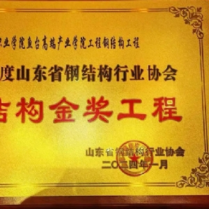 鋼結(jié)構(gòu)金獎工程