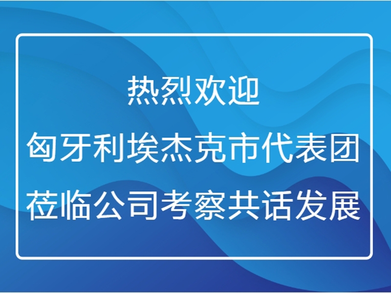 熱烈歡迎匈牙利埃杰克市代表團(tuán)蒞臨公司考察共話(huà)發(fā)展